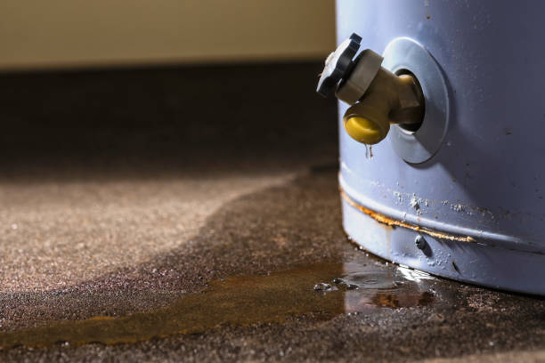 Best Carpet water damage restoration  in Yorkville, NY
