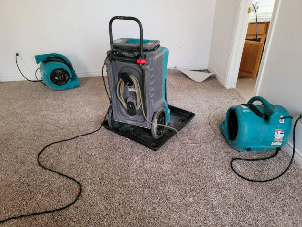 Best Professional water damage repair  in Yorkville, NY