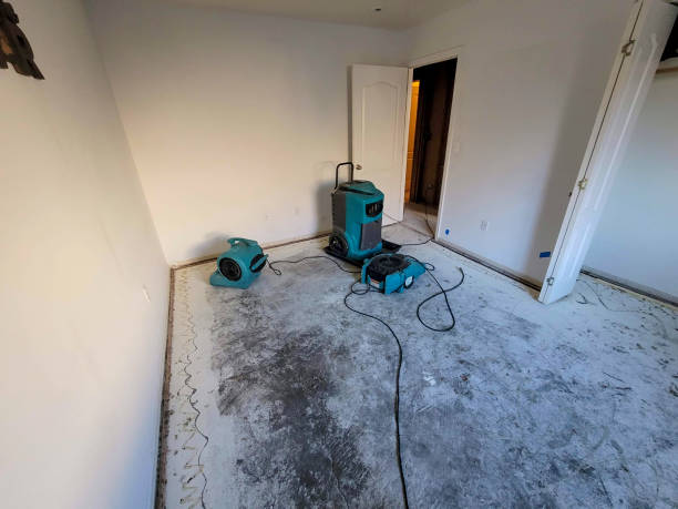 Best Local water damage restoration  in Yorkville, NY